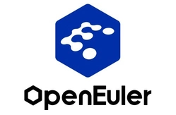 openEuler ico